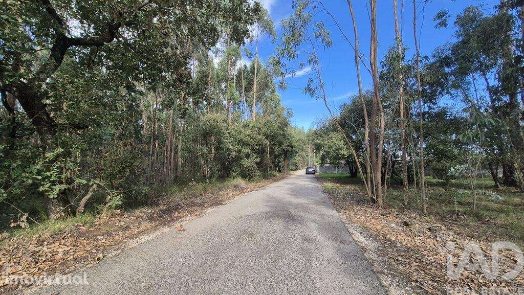 Terreno para construção em Pedreiras - Grande imagem: 5/7