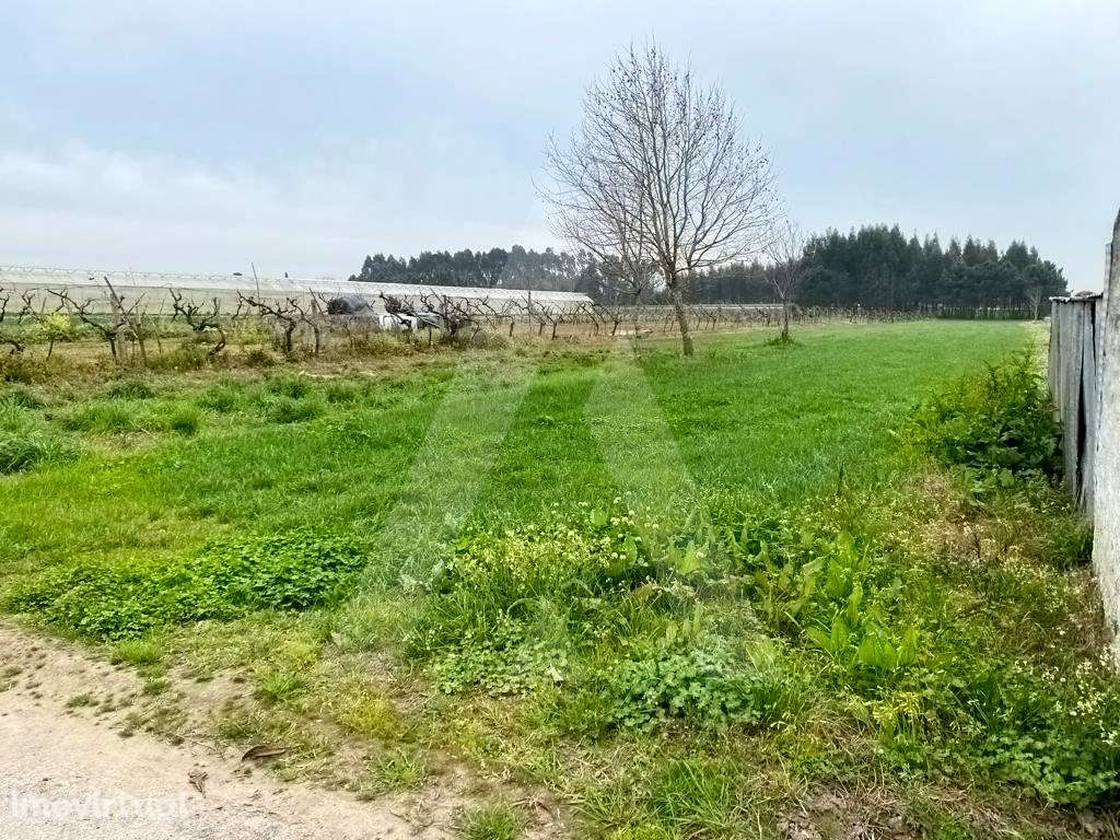 Terreno em São Bernardo - Grande imagem: 3/8