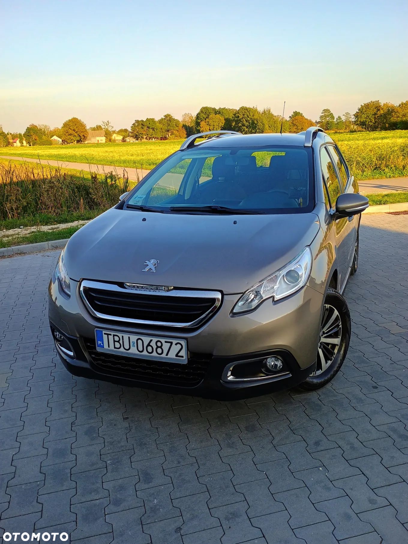 Peugeot 2008 1.2 Pure Tech Active - 1