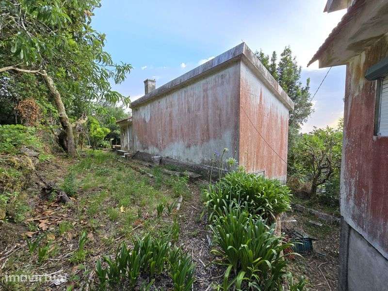 Venda de casa e terreno em Riba de Ancora - Grande imagem: 3/8