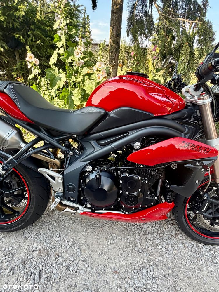 Triumph Speed Triple - 33