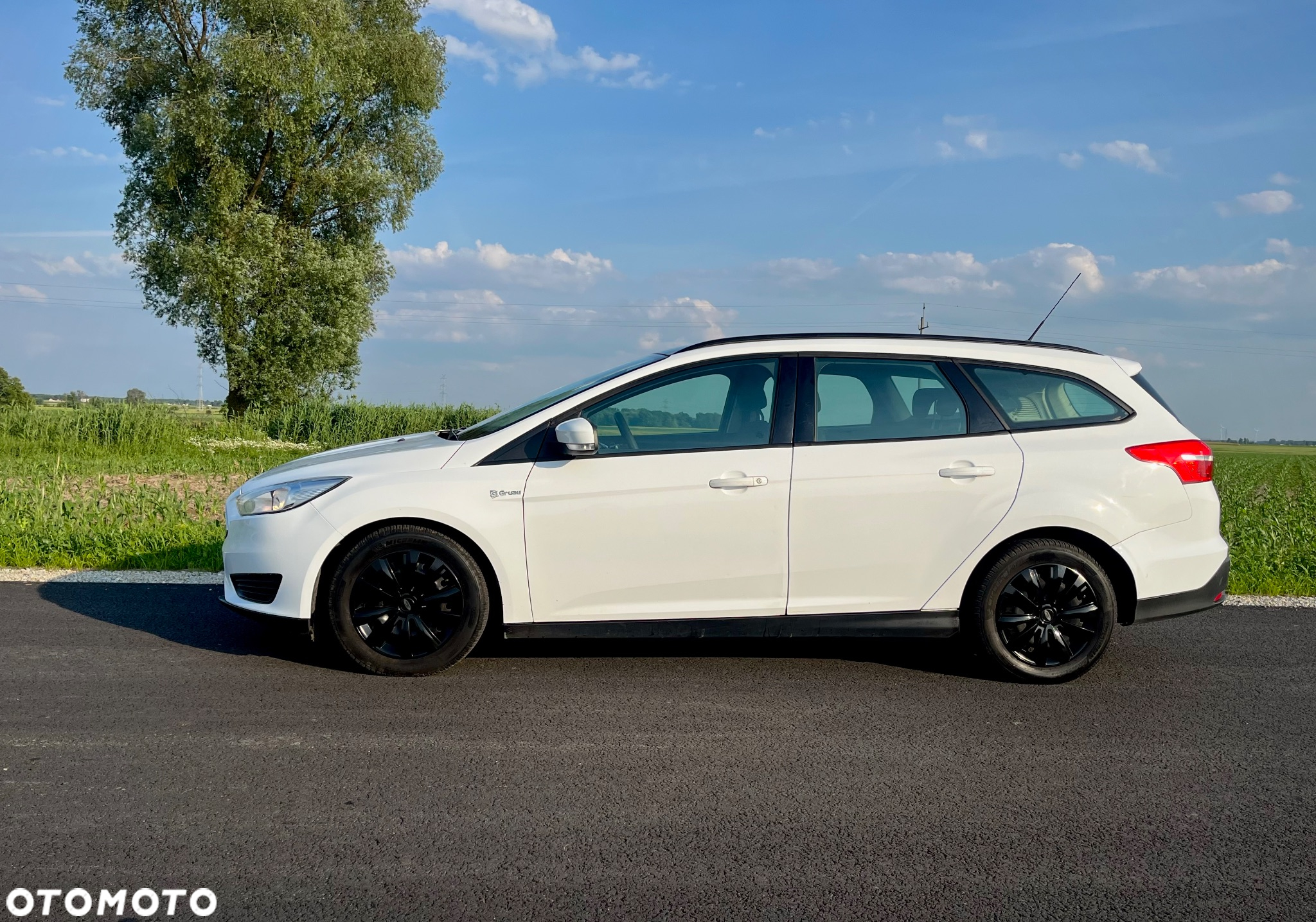 Ford Focus 1.6 TDCi DPF Start-Stopp-System SYNC Edition - 31