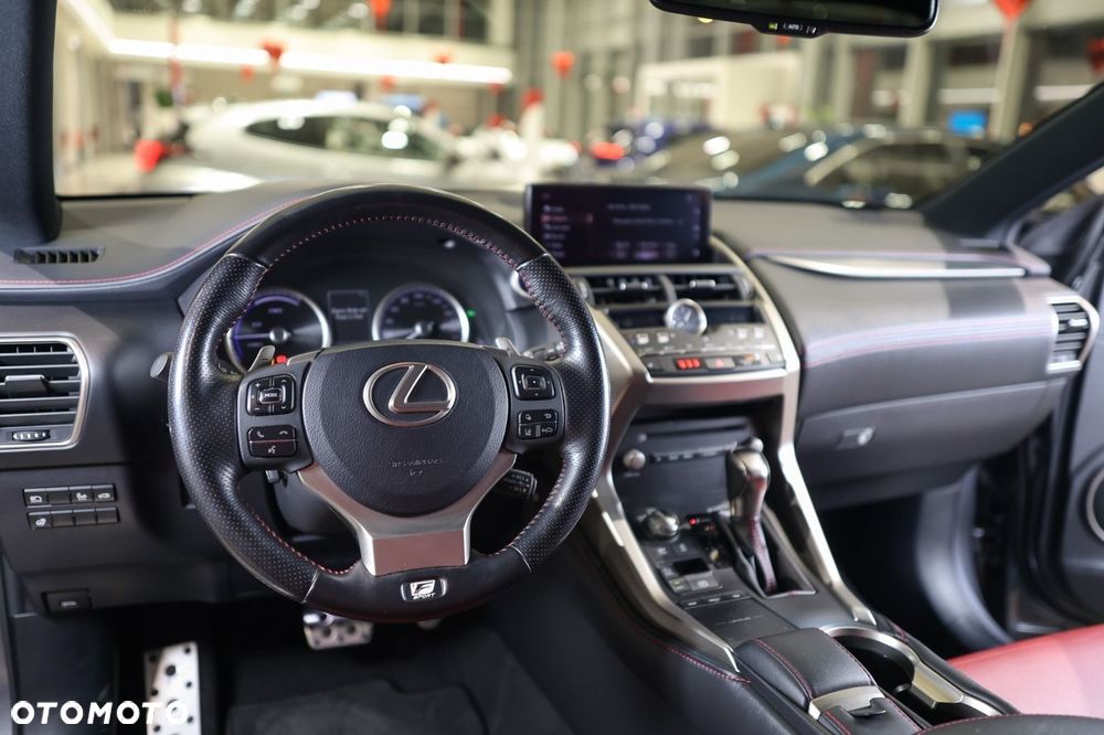 Lexus NX - 15