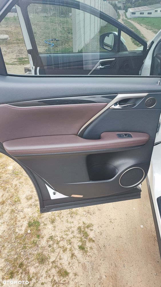 Lexus RX 450h (hybrid) - 11