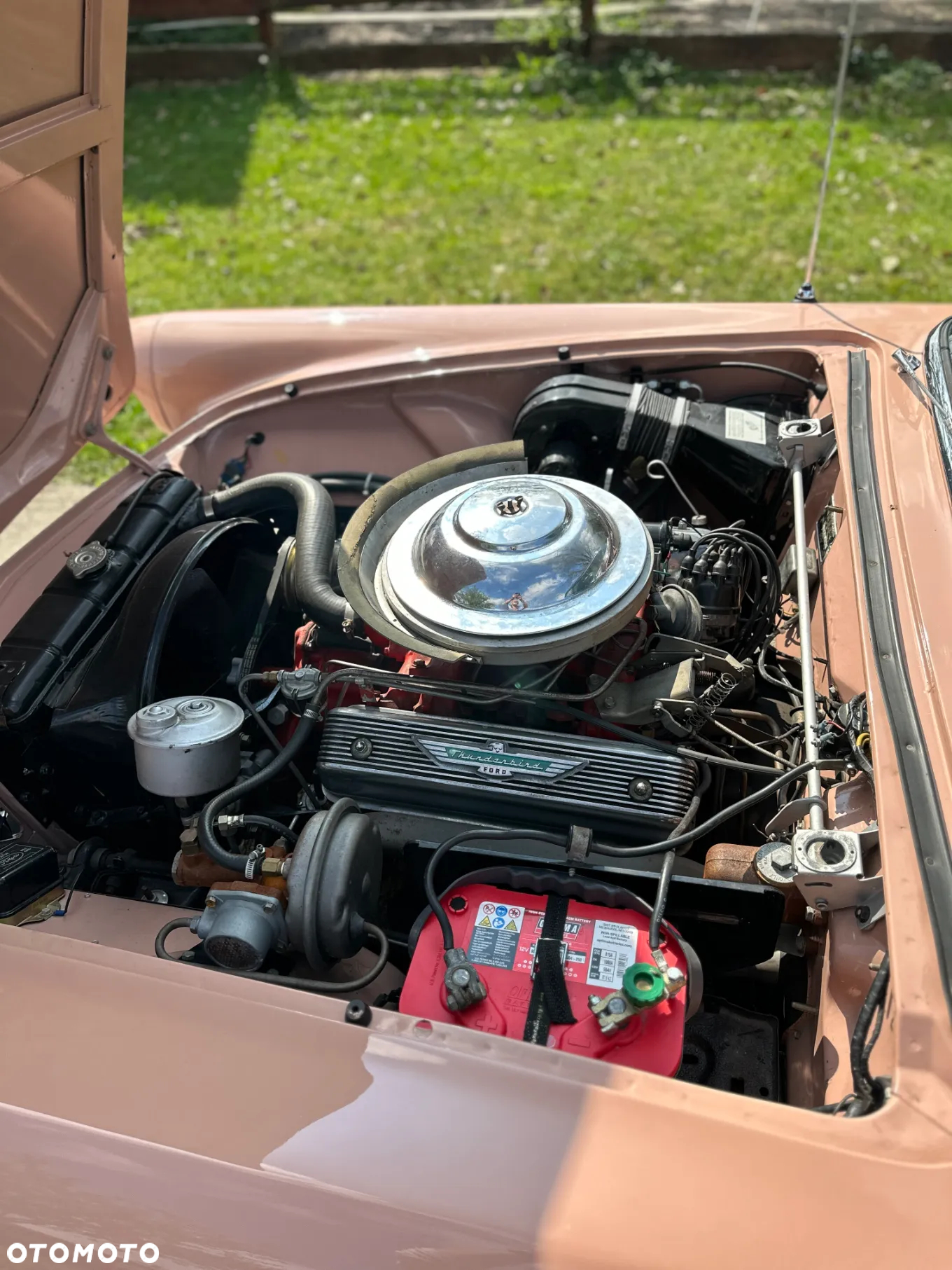 Ford Thunderbird - 38