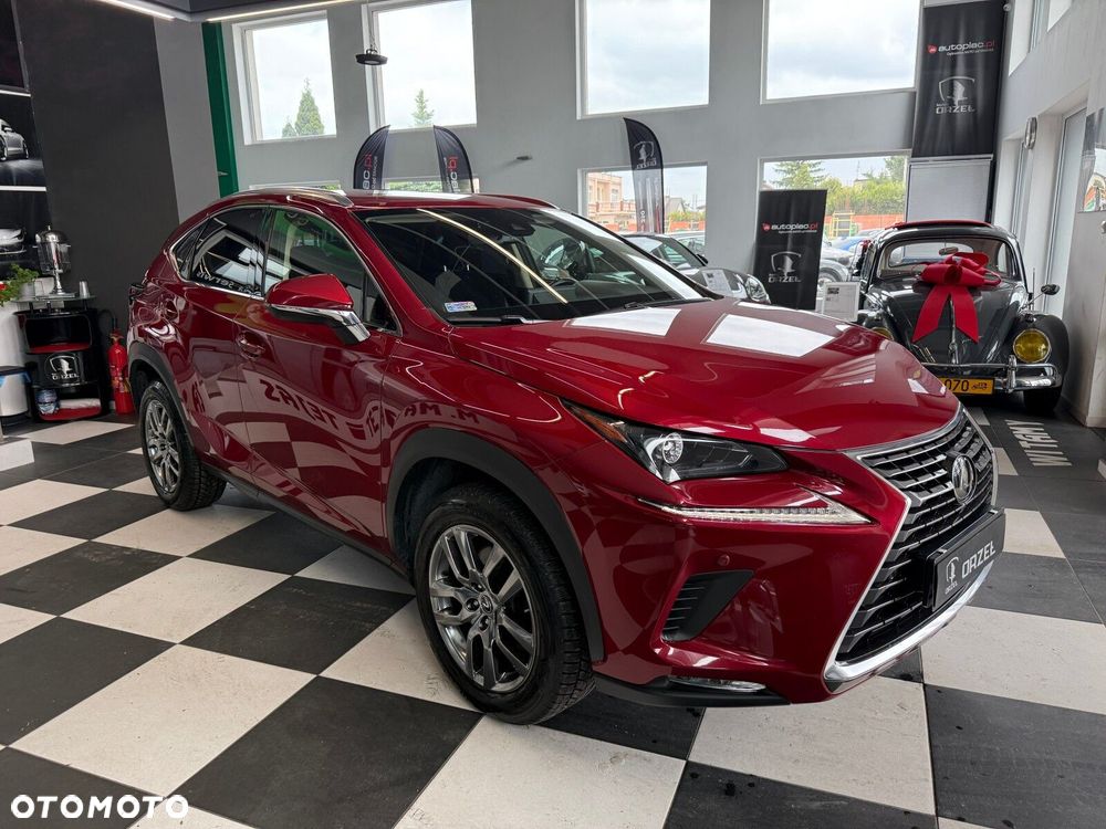Lexus NX - 3