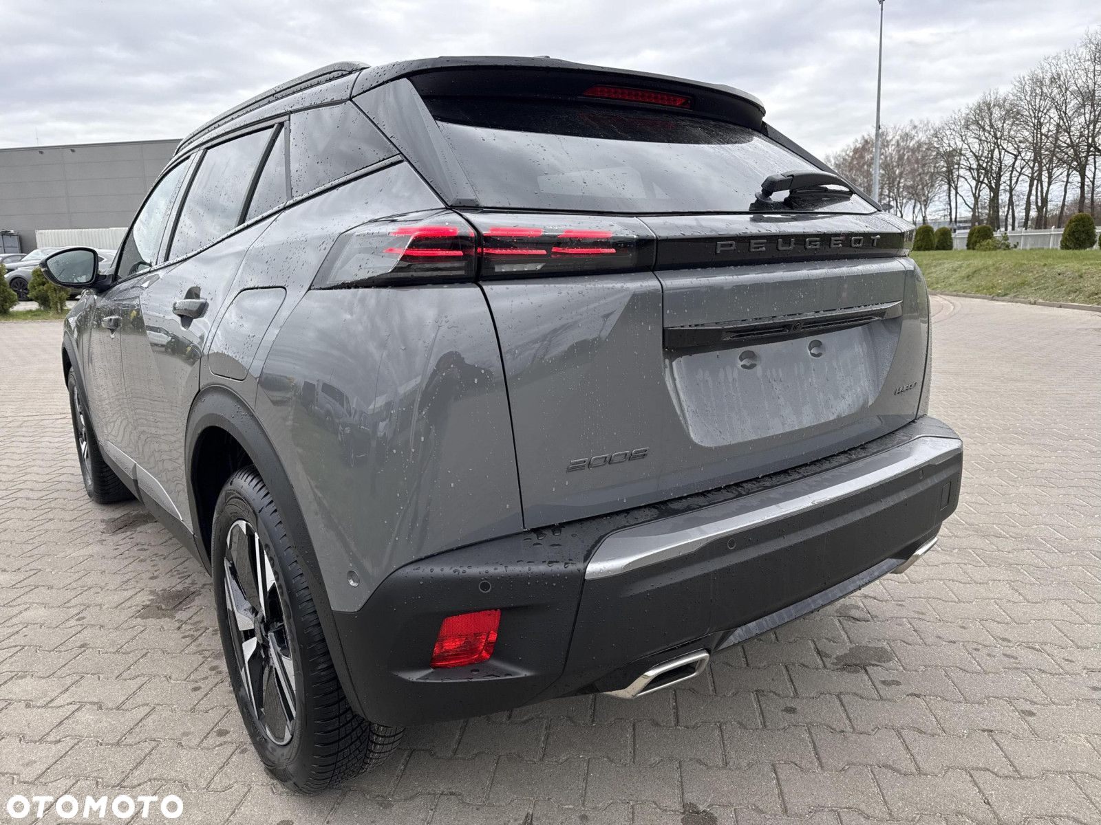 Peugeot 2008 - 9