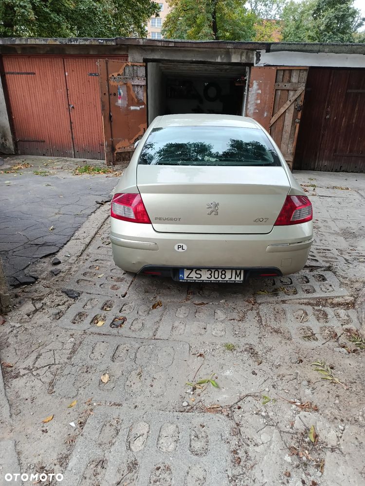 Peugeot 407 2009 photo 2