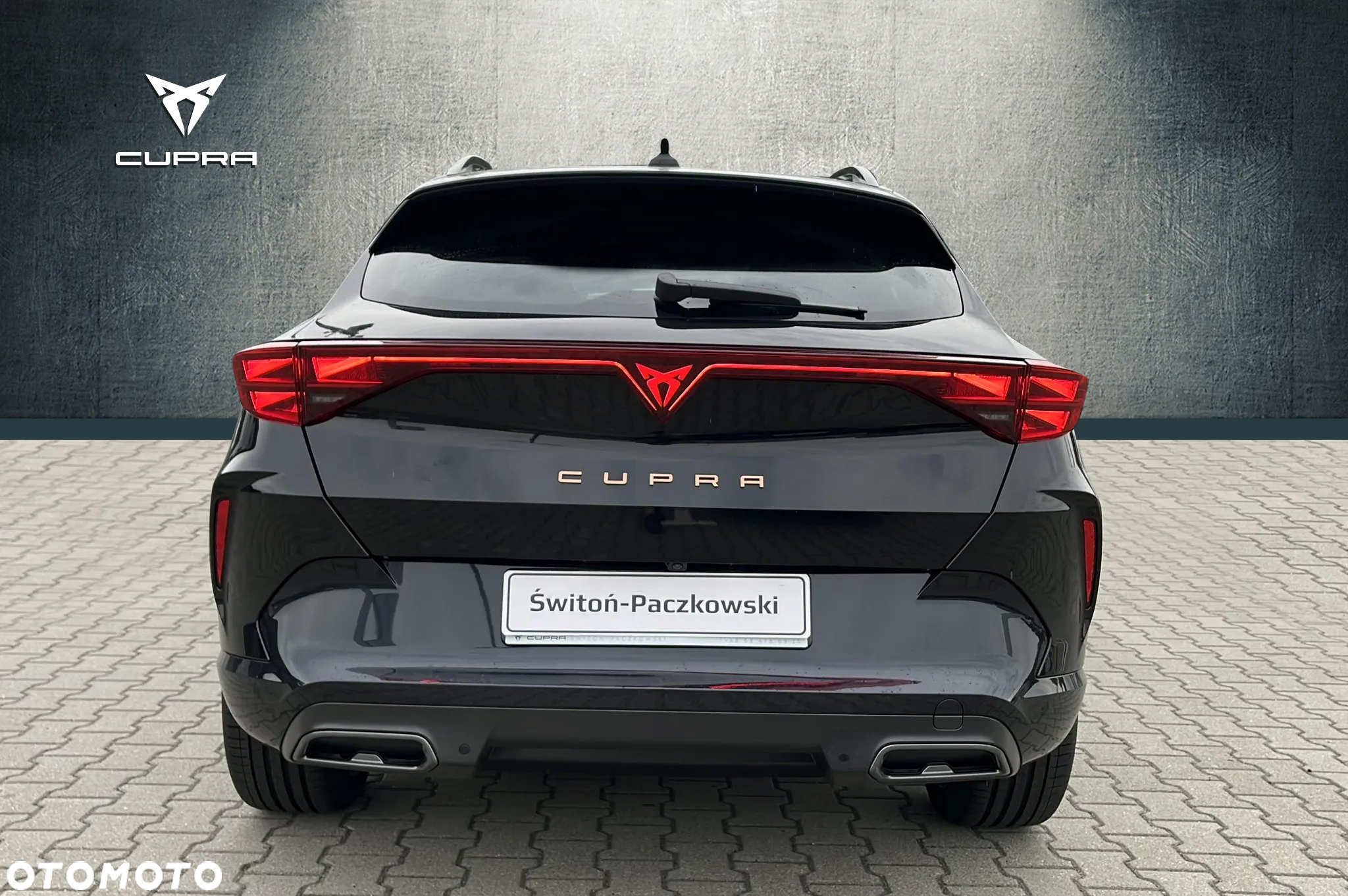 Cupra Formentor 2.0 TSI 4Drive DSG - 6