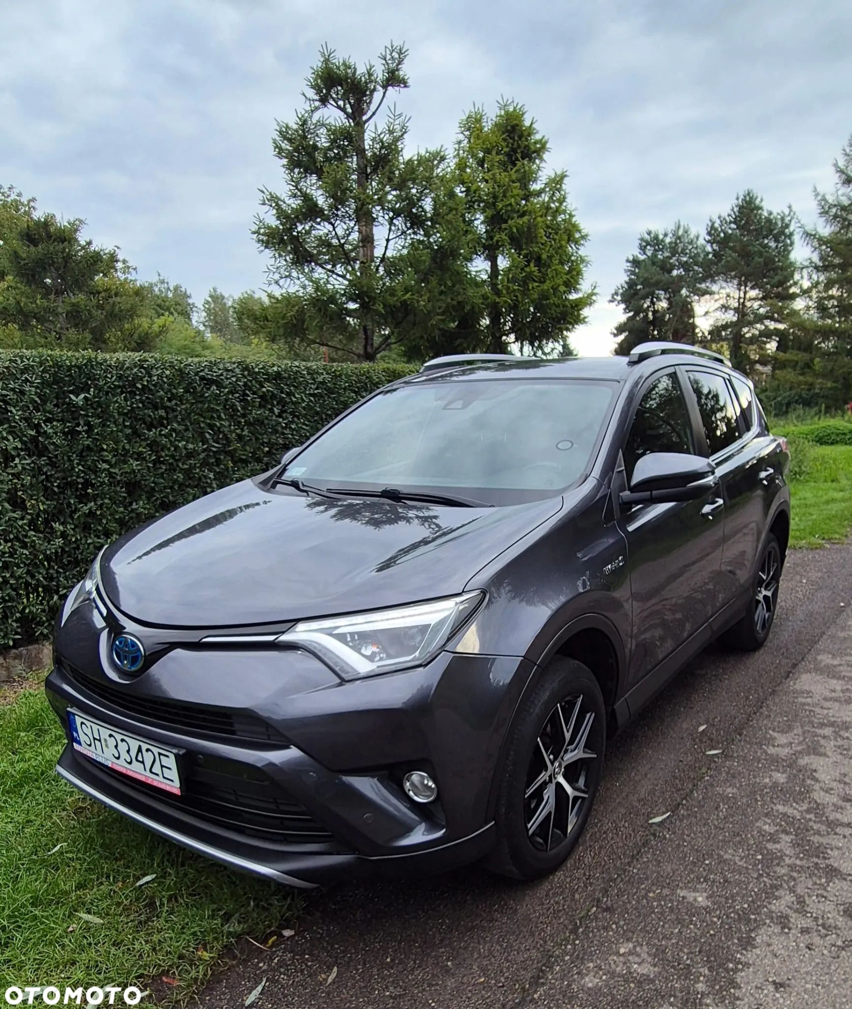 Toyota RAV4 Hybrid Platinum 4x2 - 1