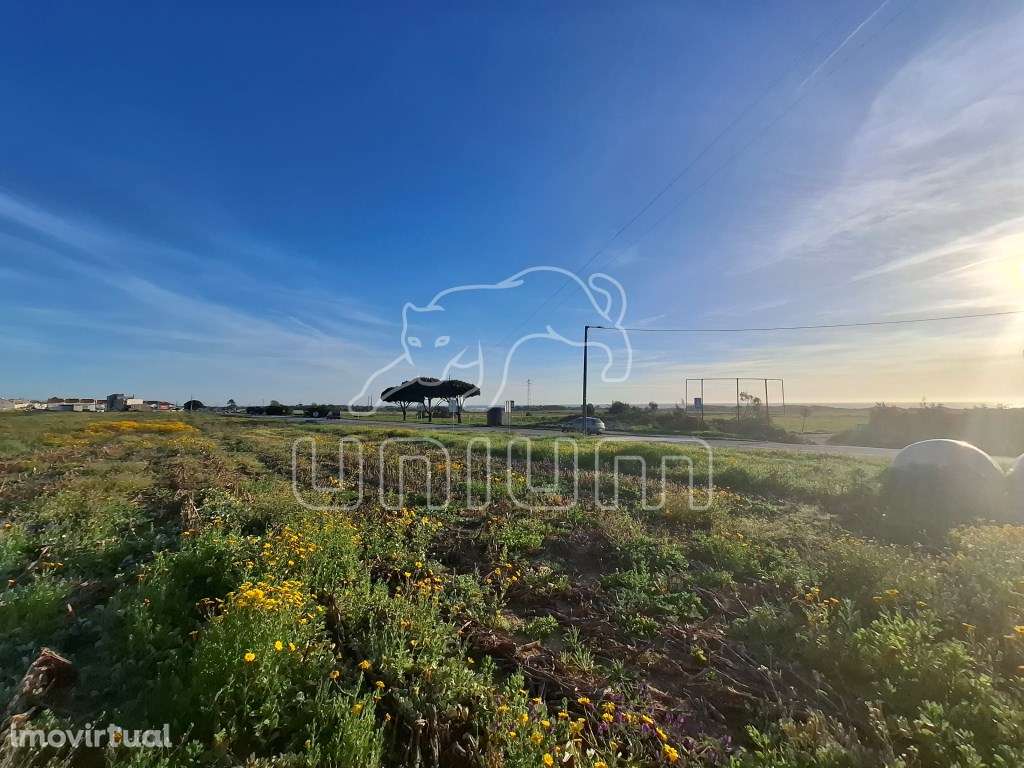 Terreno para construção em Carreço - Grande imagem: 4/4