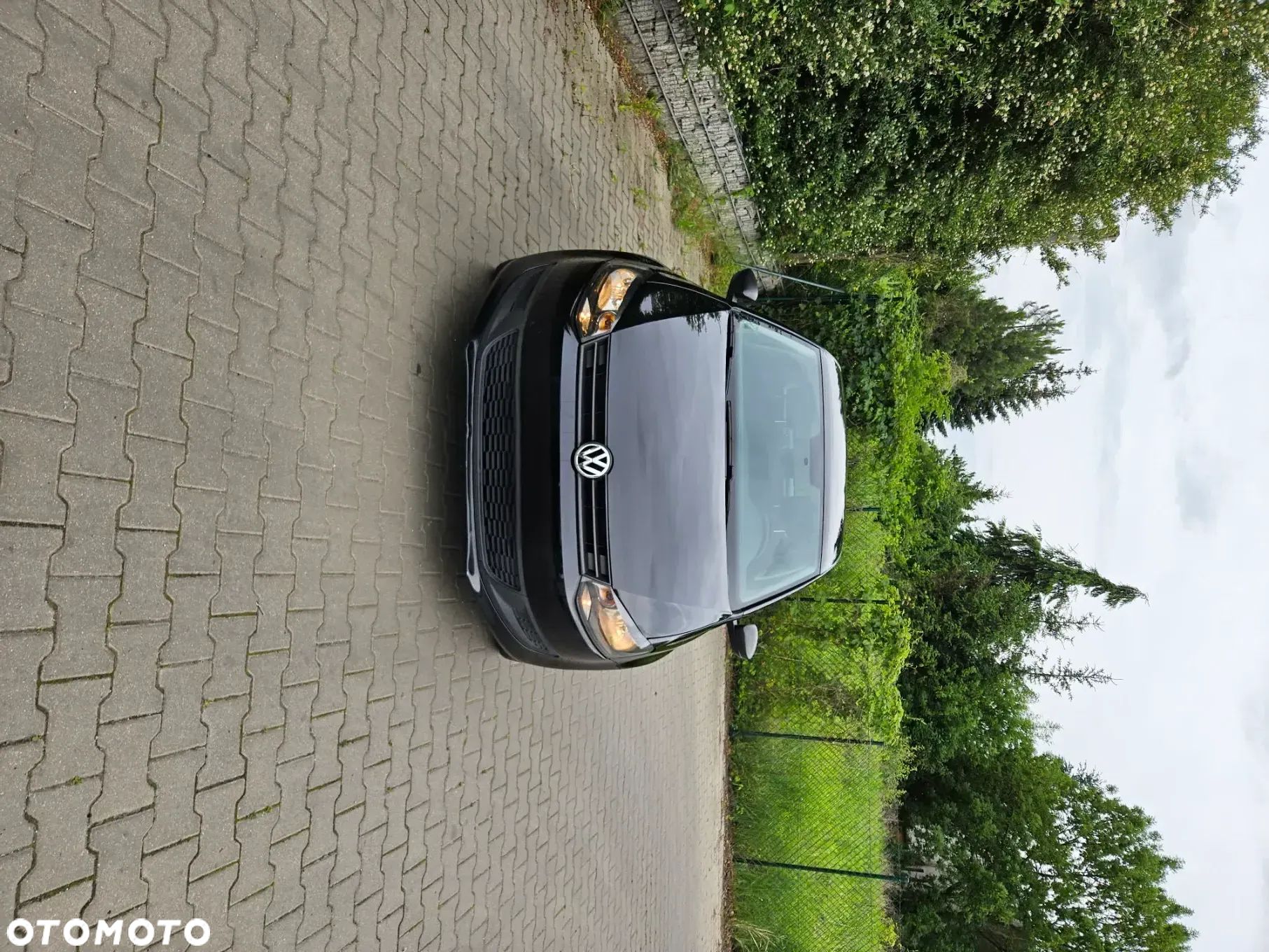 Volkswagen Polo - 1