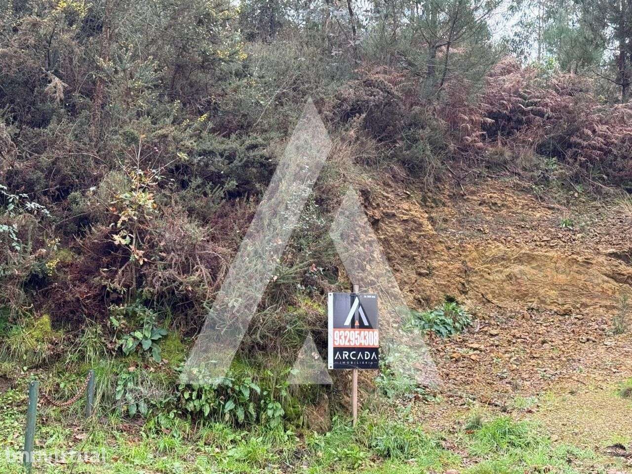 Terreno localizado no vale da Cova em Nogueira do Cravo! - Grande imagem: 3/14