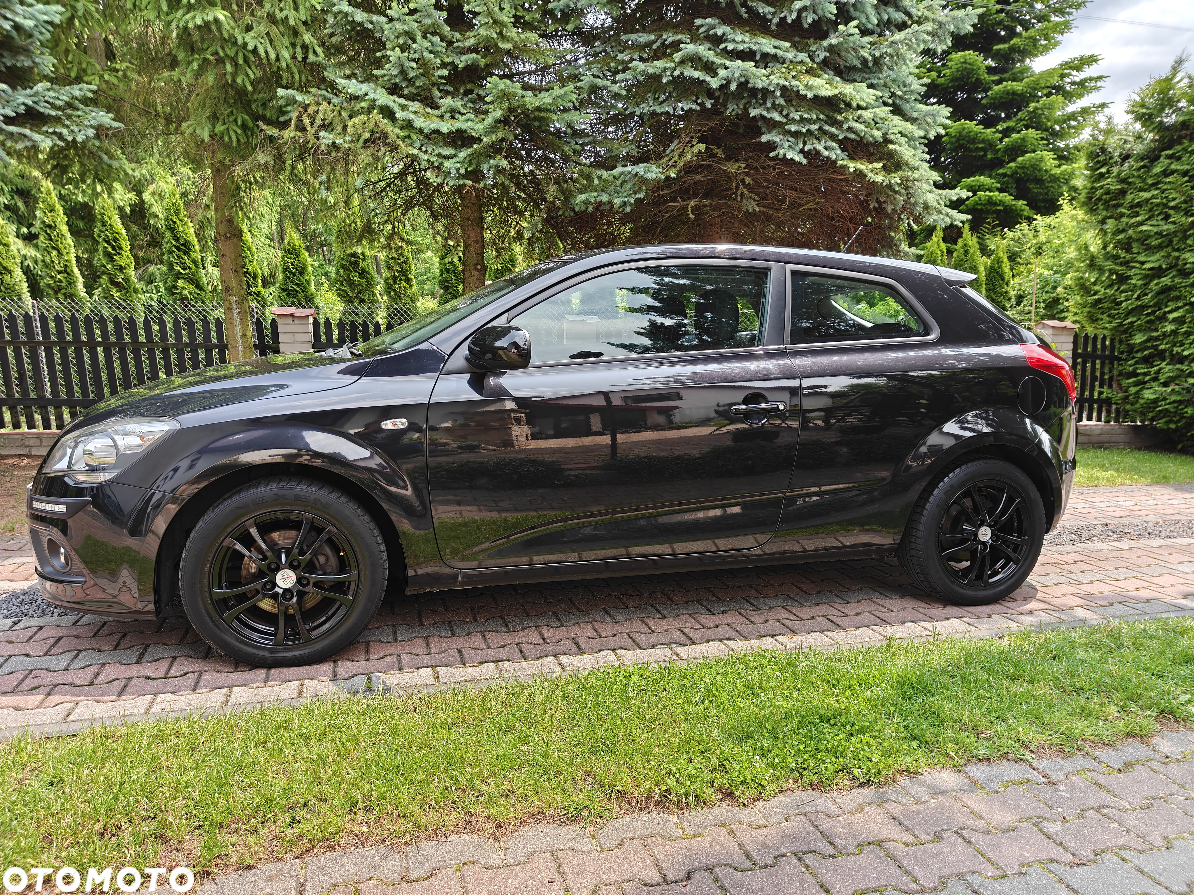 Kia ProCeed - 31
