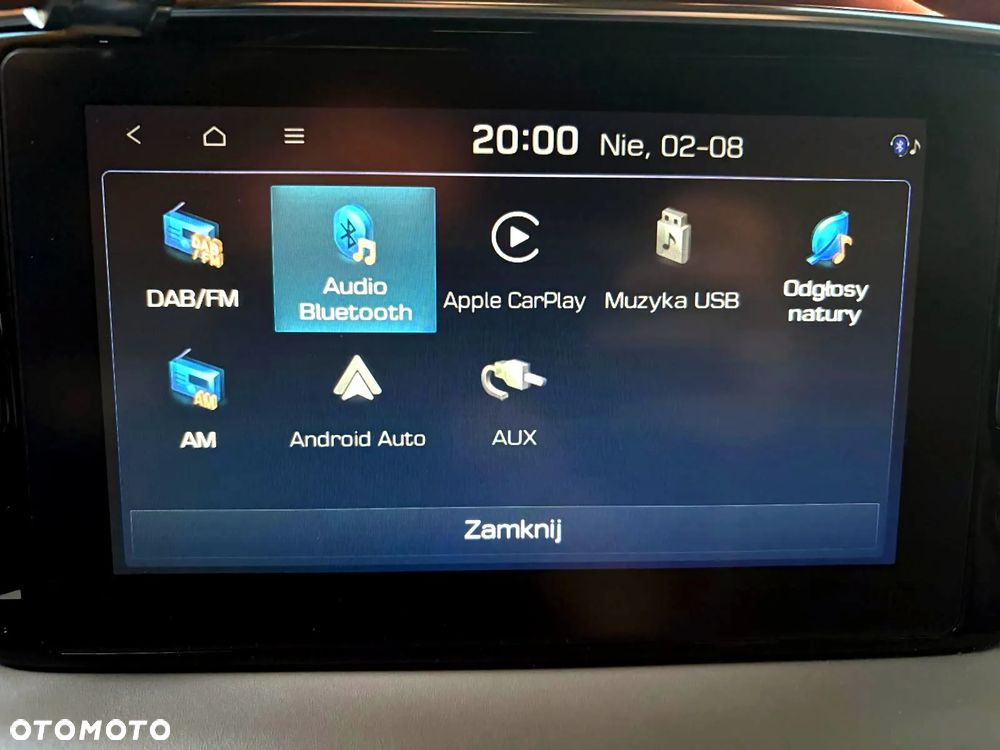Hyundai Santa Fe 2.0 CRDi Platinum 4WD - 31