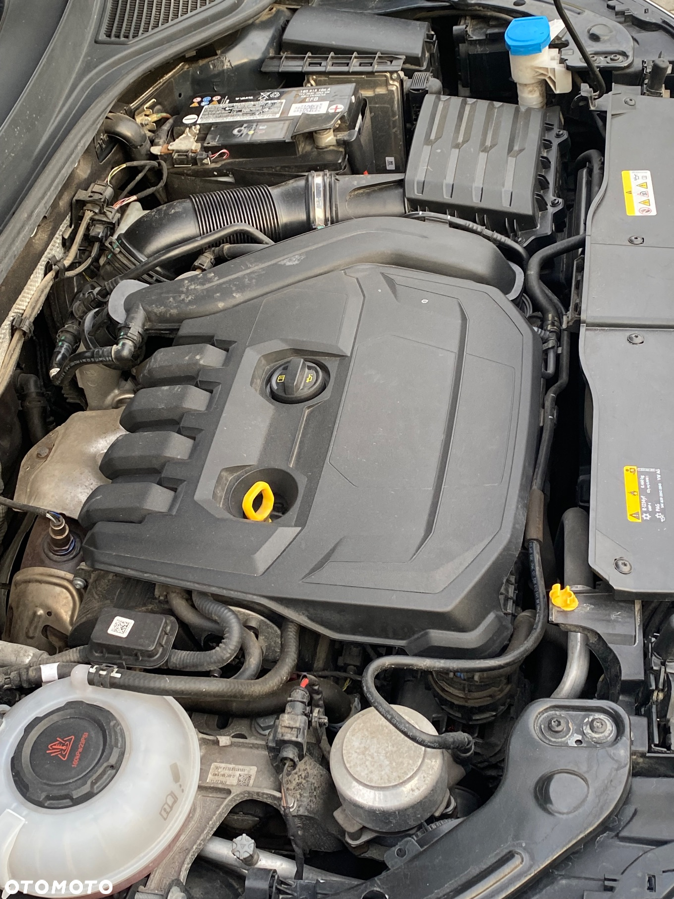 Volkswagen T-Roc 1.5 TSI GPF ACT Active DSG - 6
