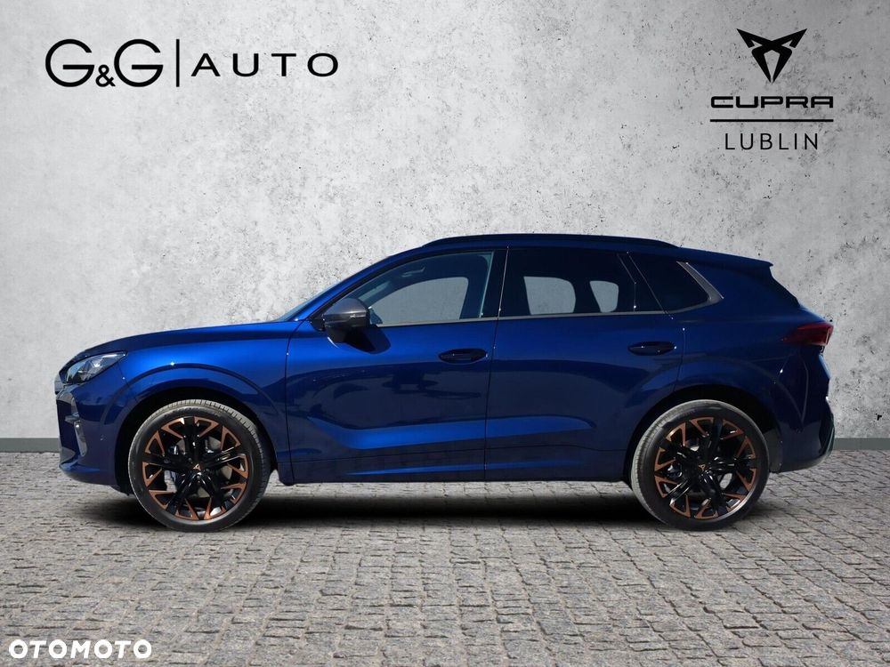 Cupra Terramar - 2
