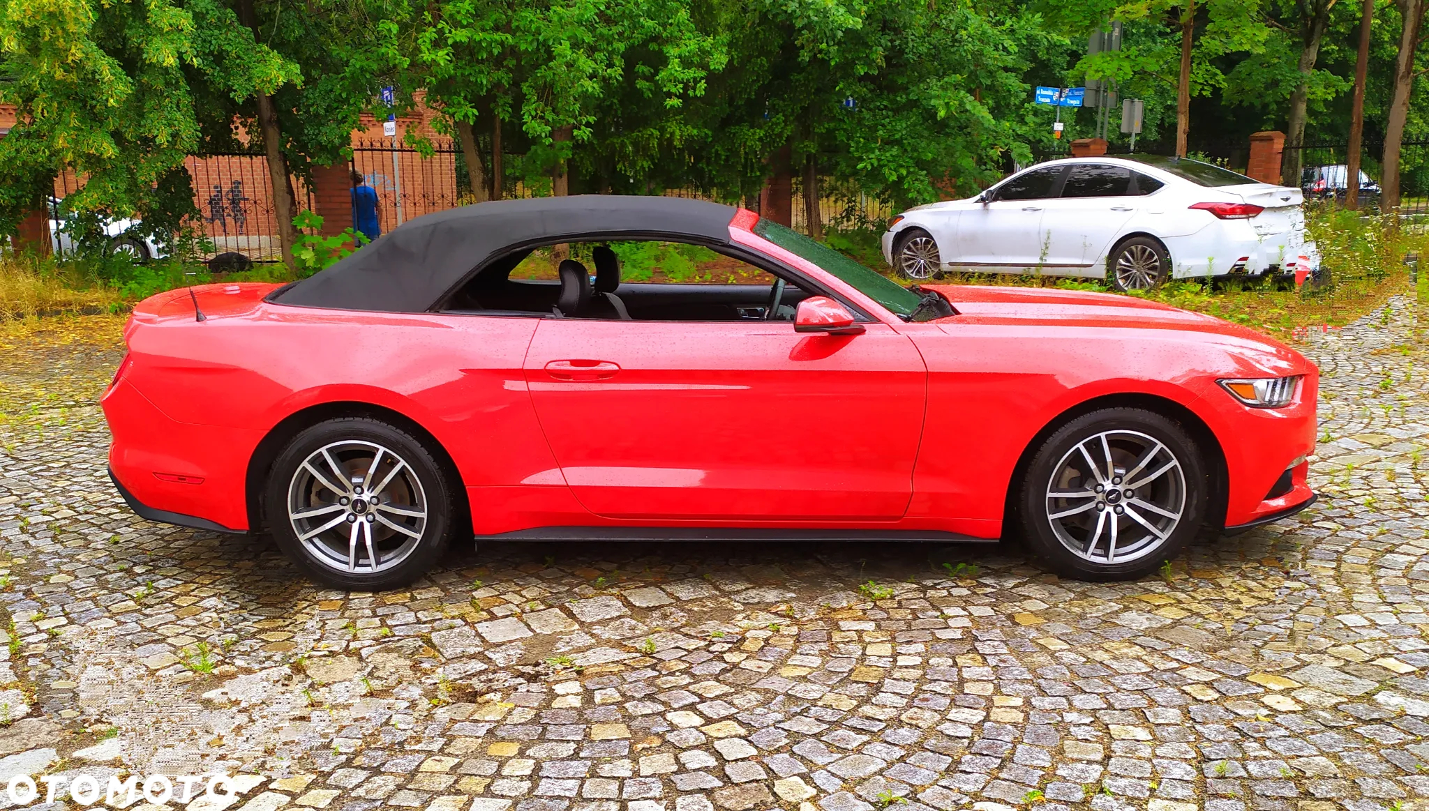 Ford Mustang 2.3 EcoBoost - 5