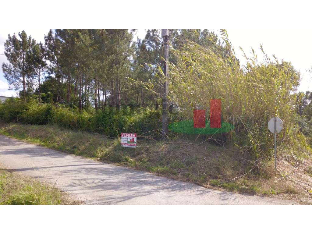 Terreno com Construção de Apoio Agrícola***RIOMAGIC*** - Grande imagem: 5/13