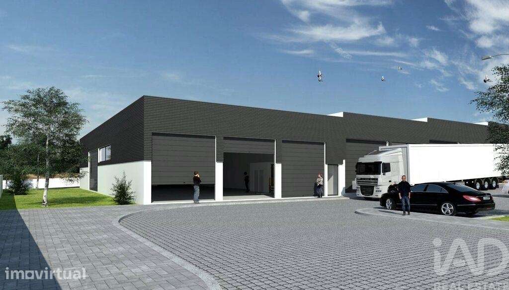 Prédio em Cristelo de 300 m2 - Grande imagem: 5/11