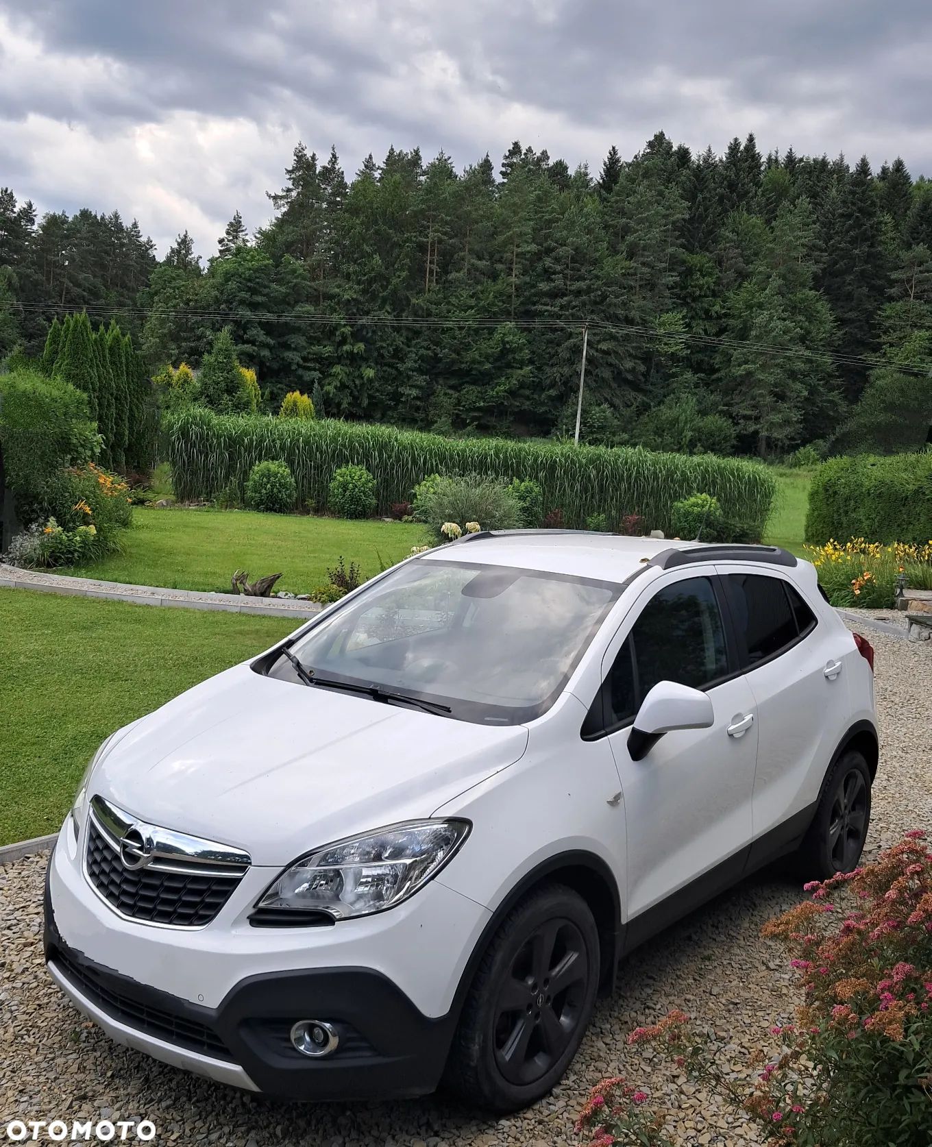 Opel Mokka 1.7 CDTI Enjoy S&S 4x4 - 1