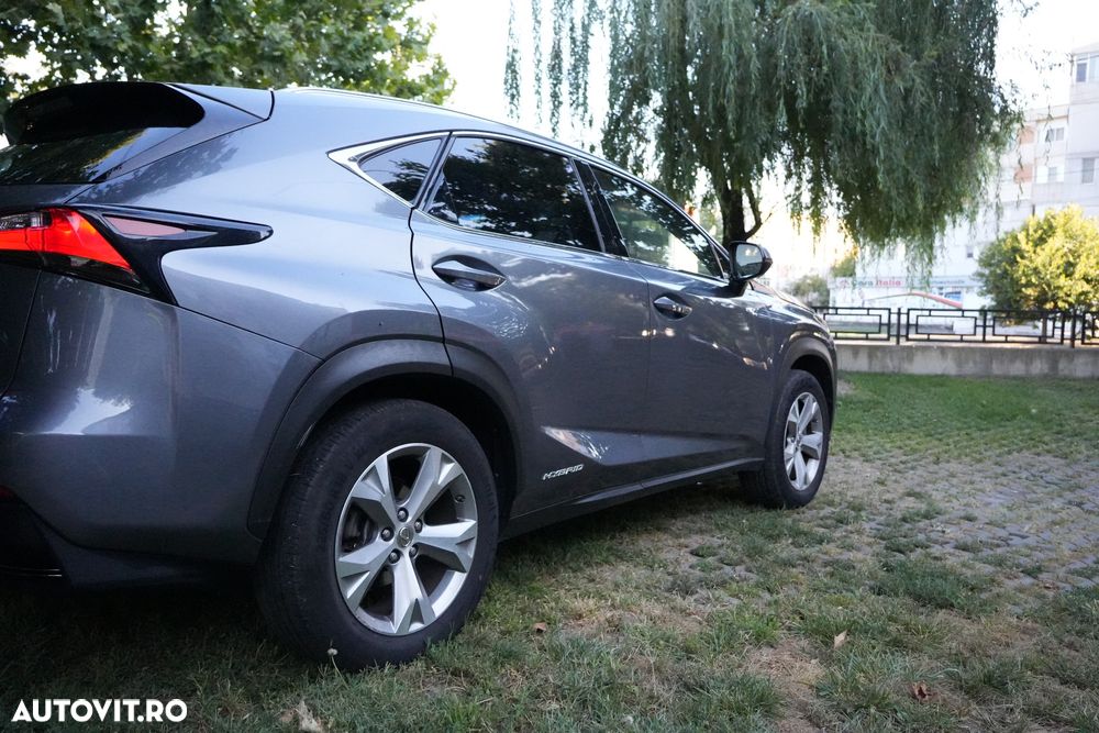 Lexus Seria NX 300h AWD Luxury - 18