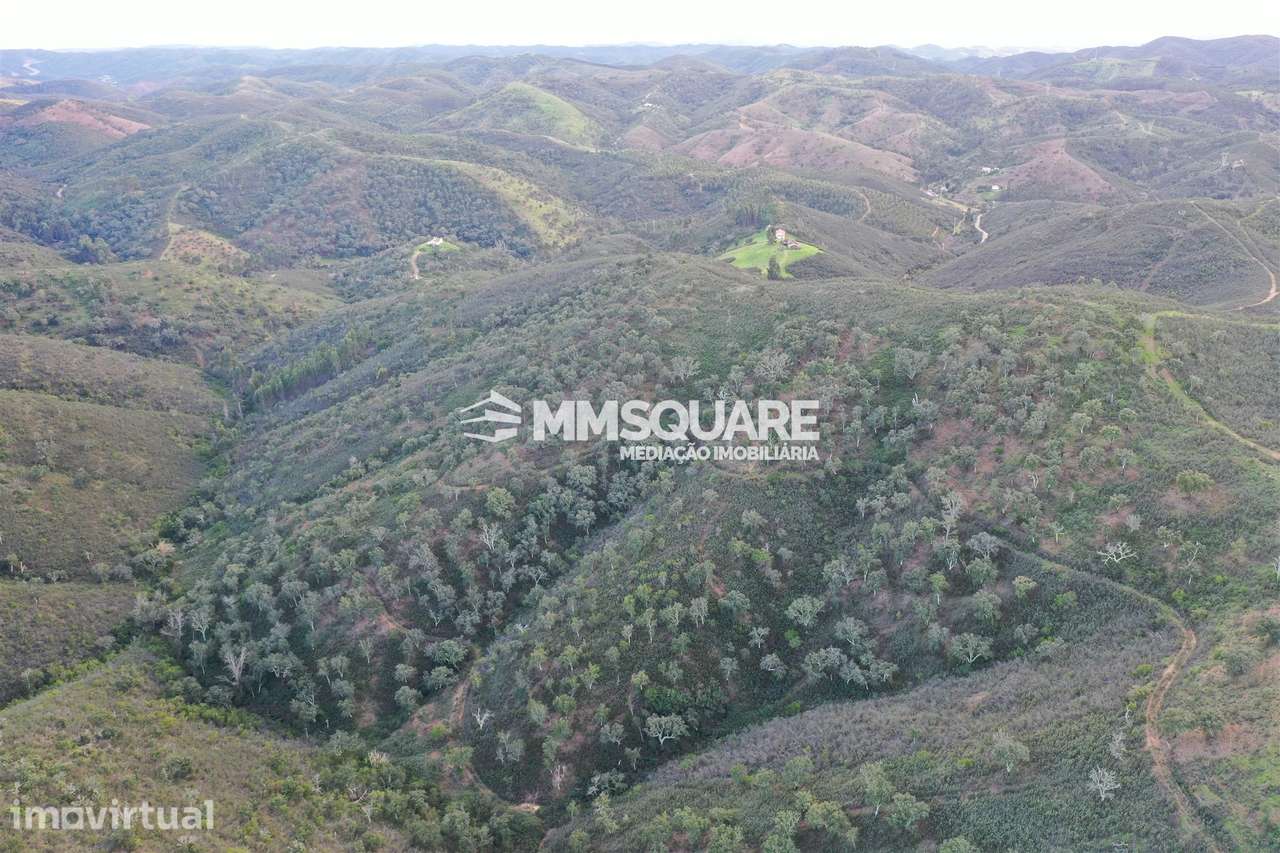 Terreno Rústico  Venda em Santana da Serra,Ourique - Grande imagem: 2/10