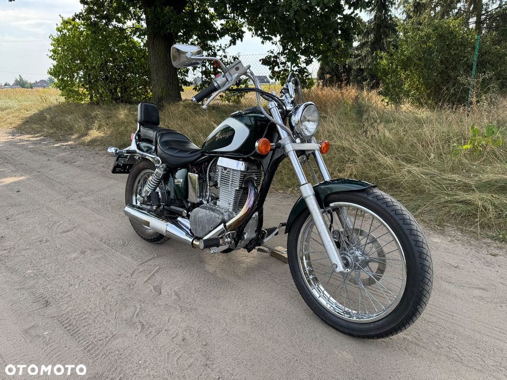 Suzuki Savage - 1