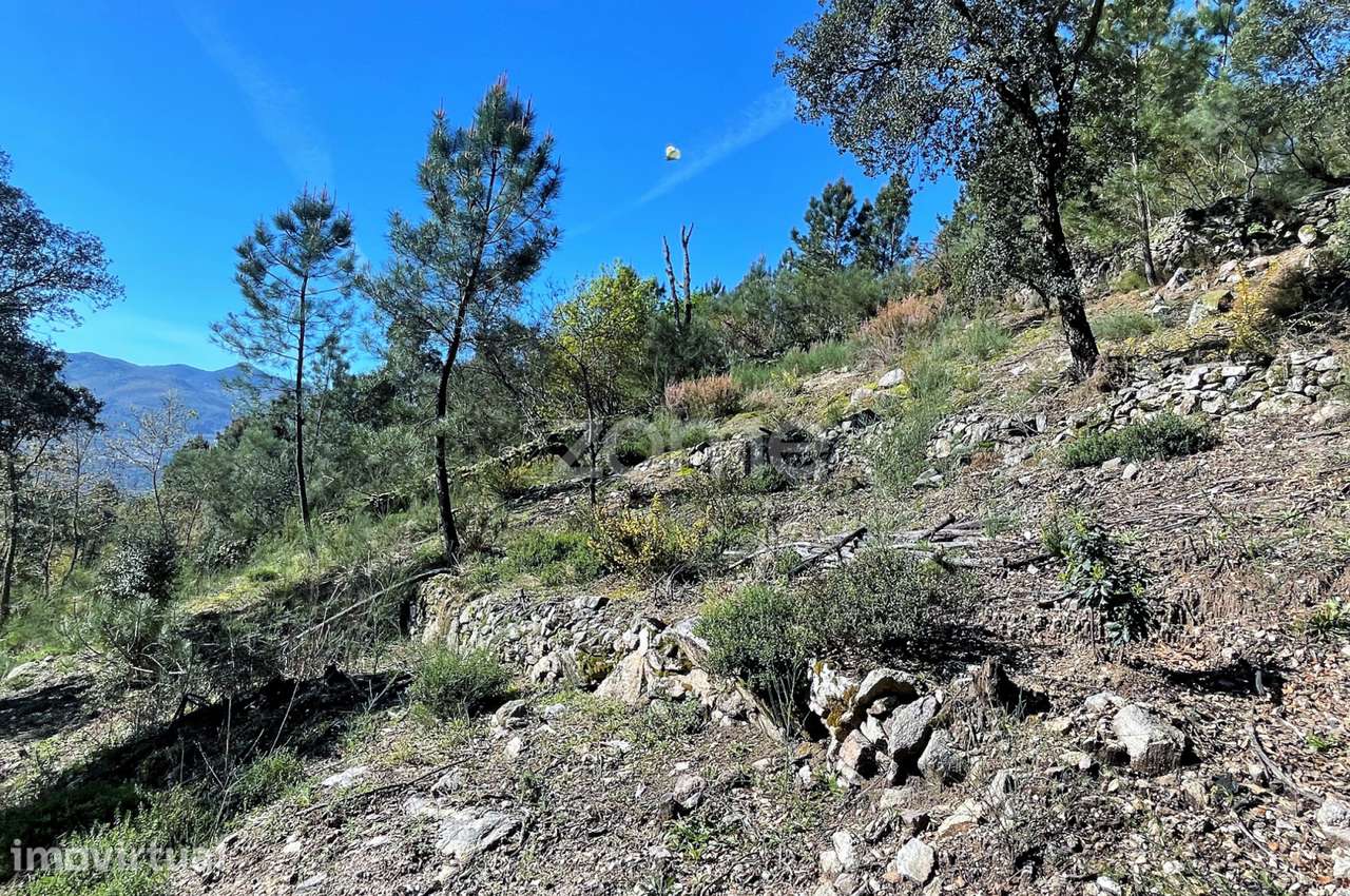 Terreno rústico em S. Jorge Arcos de Valdevez - Grande imagem: 5/13