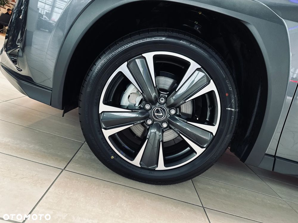 Lexus UX 300h Business - 10