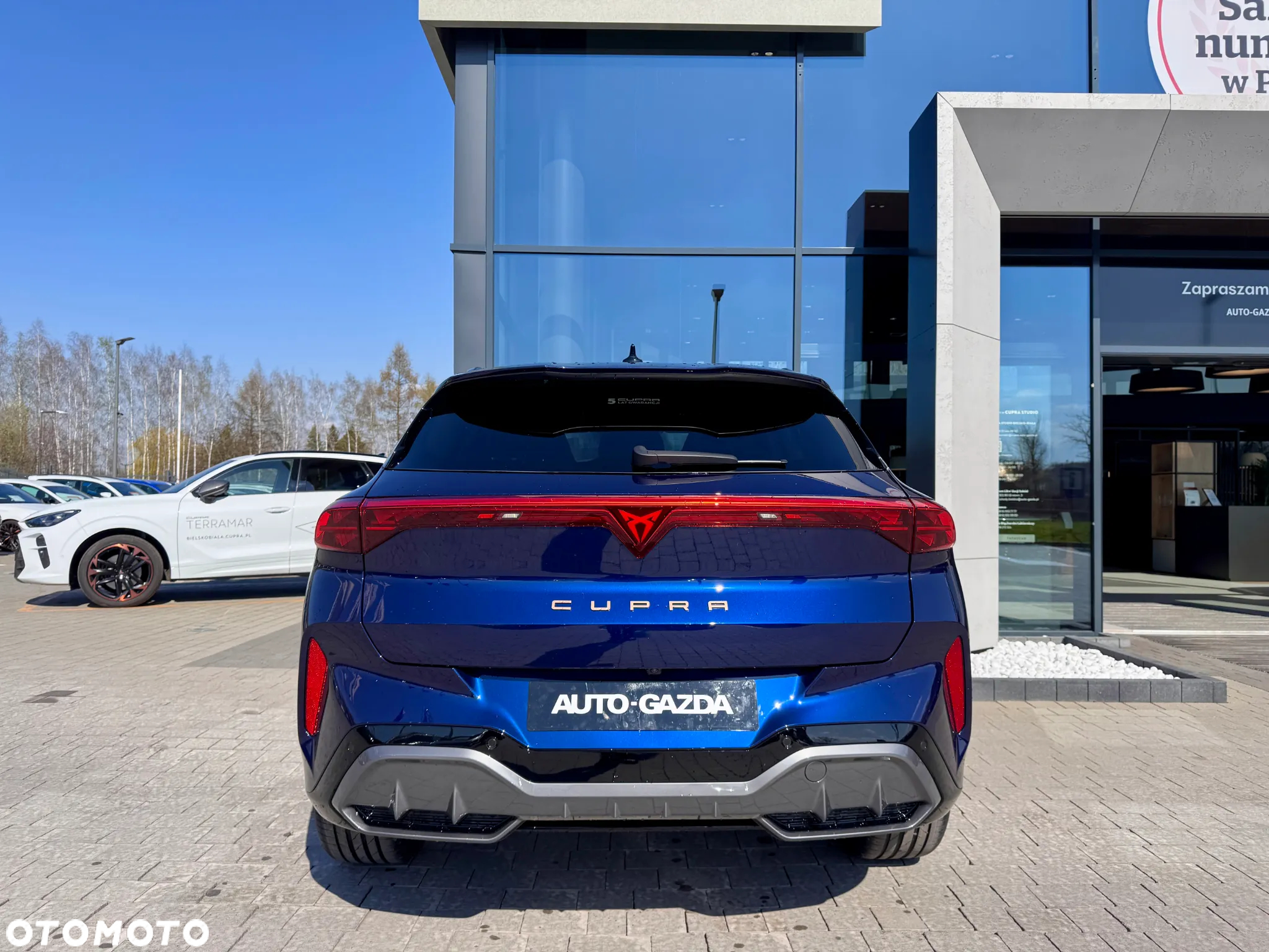 Cupra Terramar 1.5 eTSI mHEV DSG - 7
