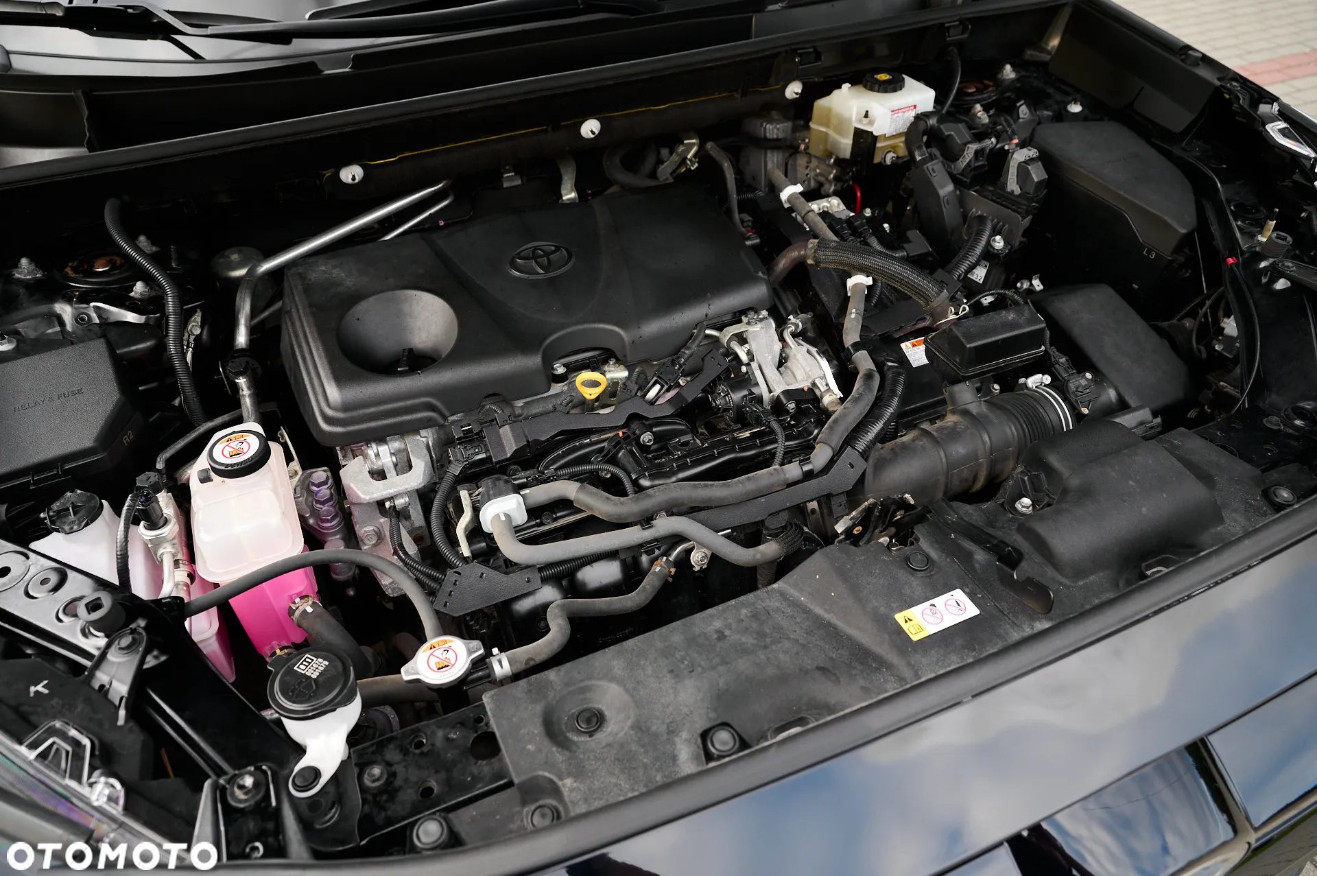 Toyota RAV4 2.5 Hybrid Executive 4x2 - 22
