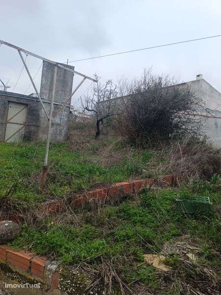 Ruína com terreno - Grande imagem: 2/12