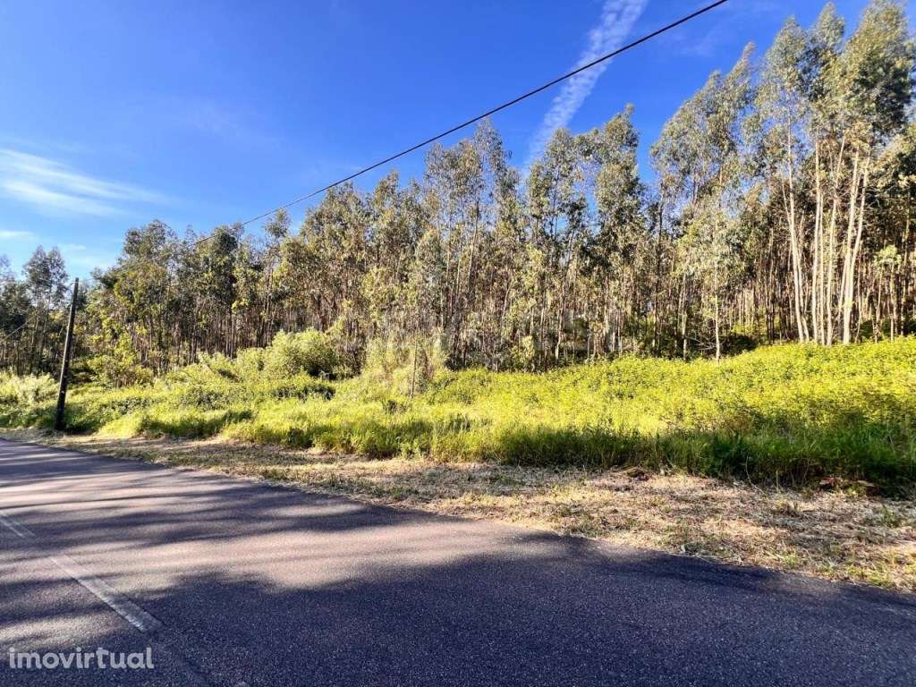 2 Terrenos com área total de 40960m2 em Ferreira do Zezere - Grande imagem: 4/31