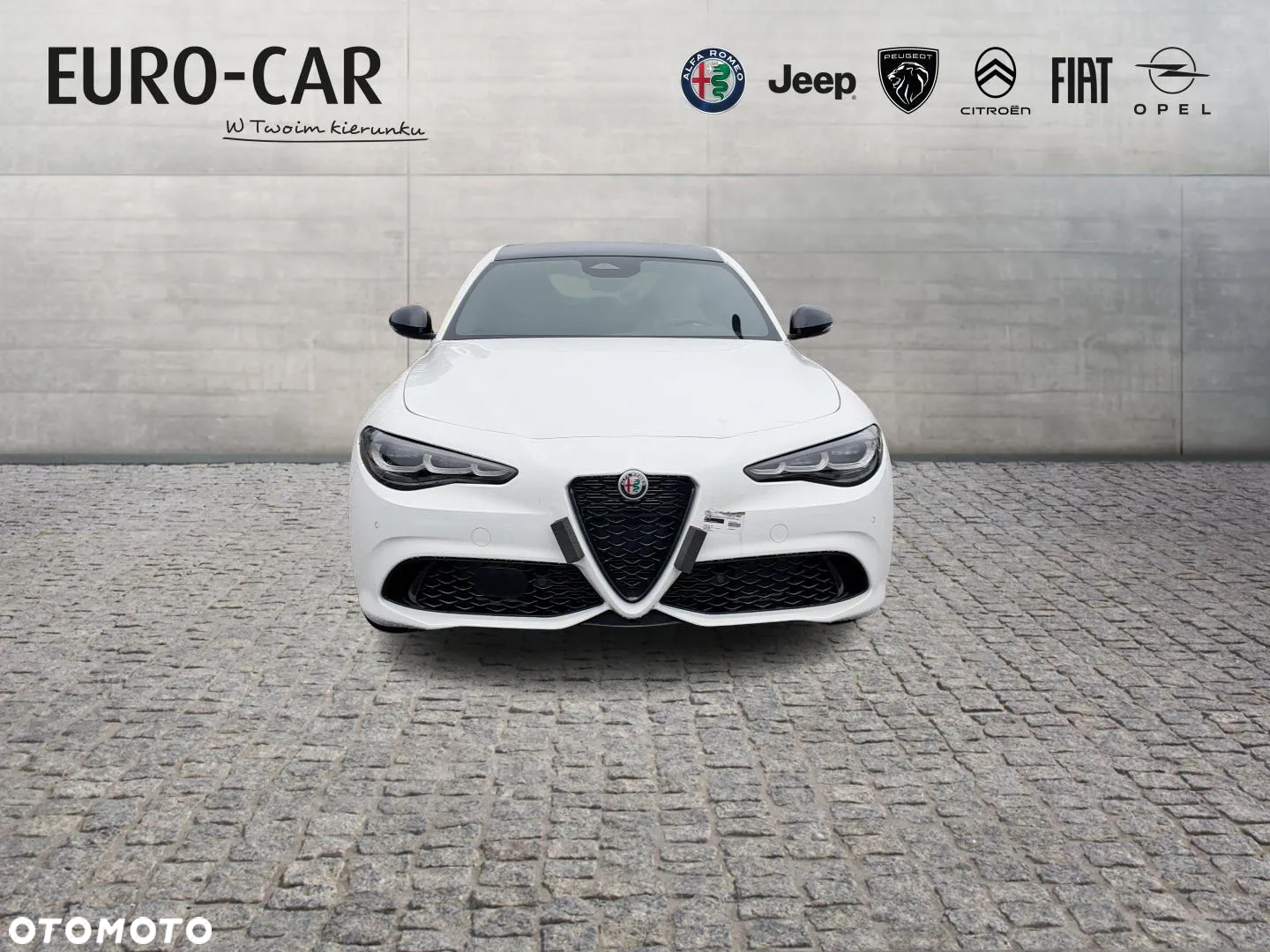 Alfa Romeo Giulia 2.0 Turbo Tributo Italiano Q4 - 8