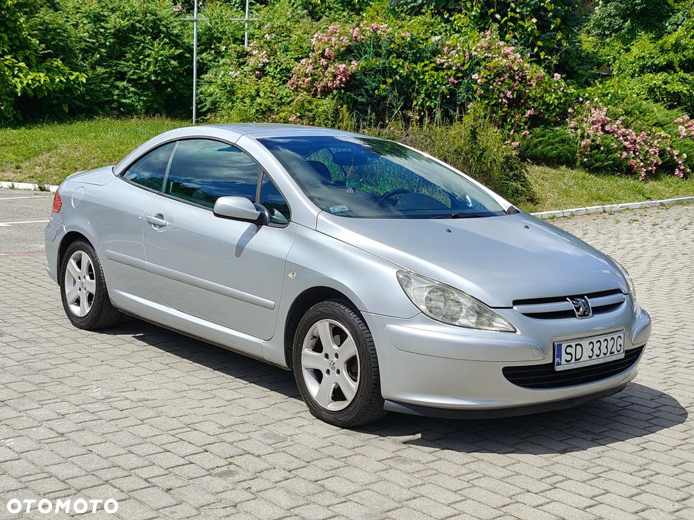 Peugeot 307 CC 110 Filou - 13