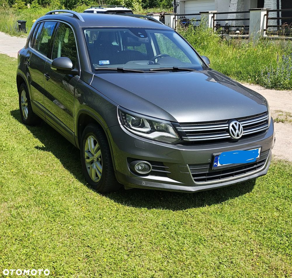 Volkswagen Tiguan - 17