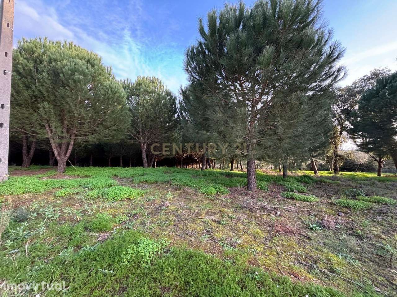 Terreno rústico - Casal Novo - Ferreira do Zêzere - Grande imagem: 3/14