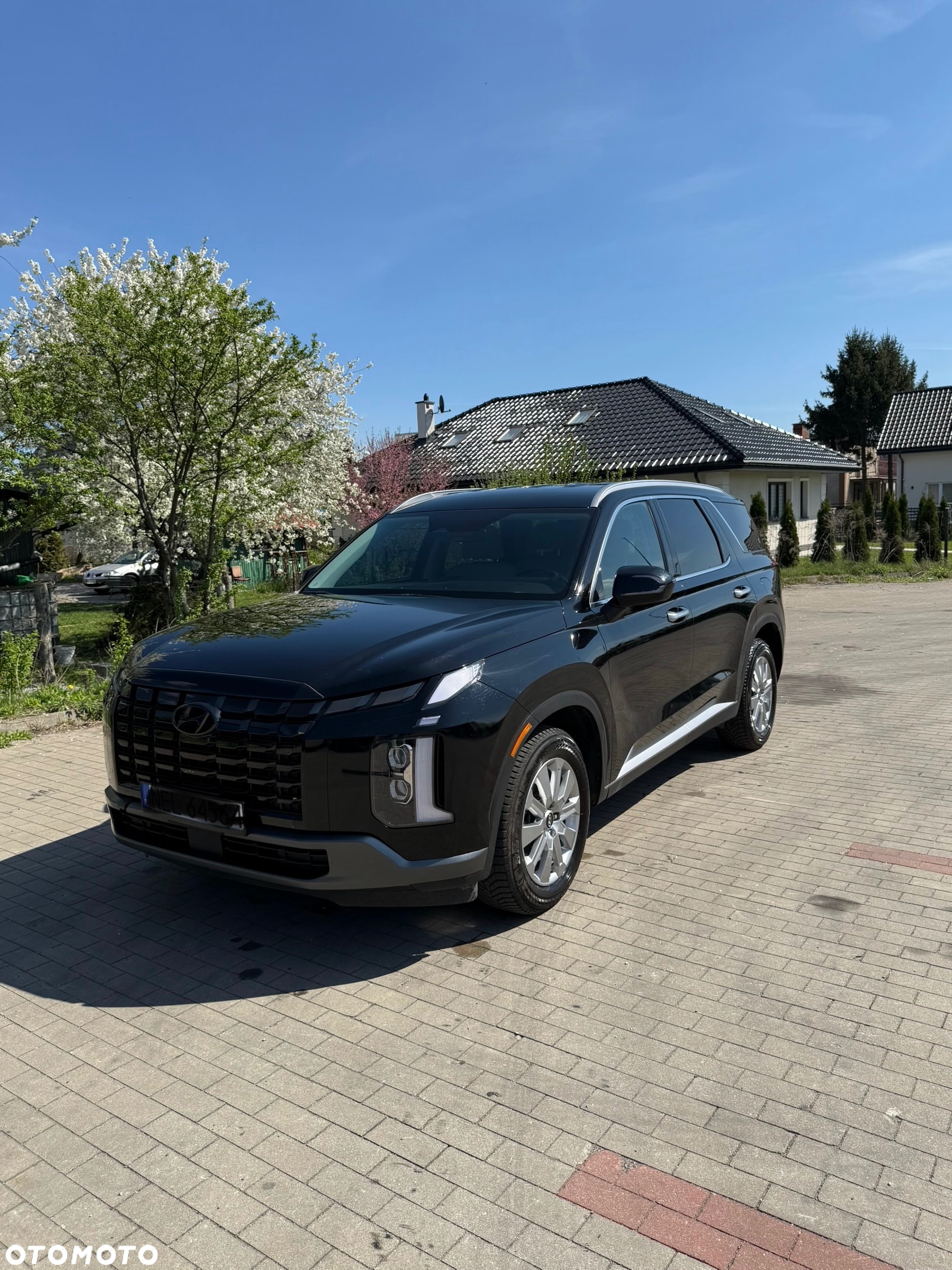 Hyundai Palisade - 10