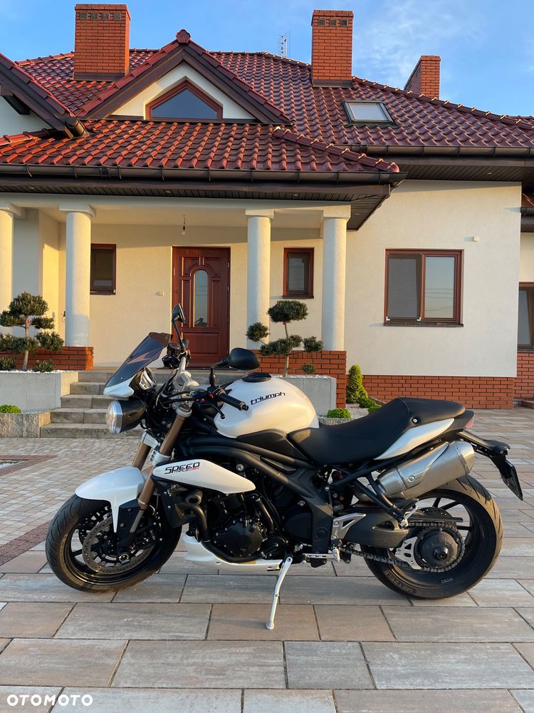 Triumph Speed Triple - 10