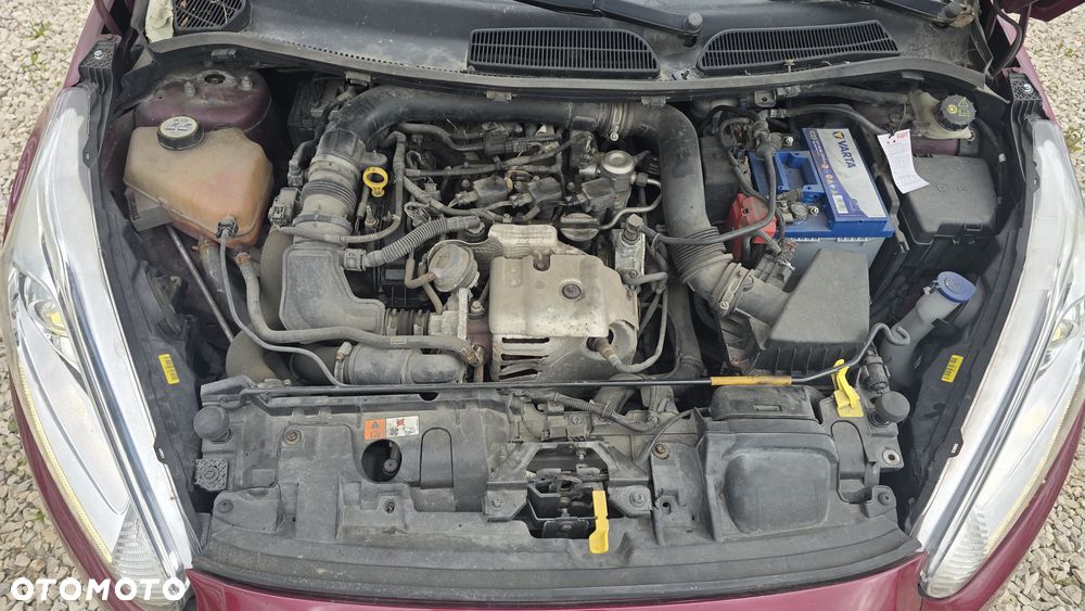 Ford Fiesta - 20
