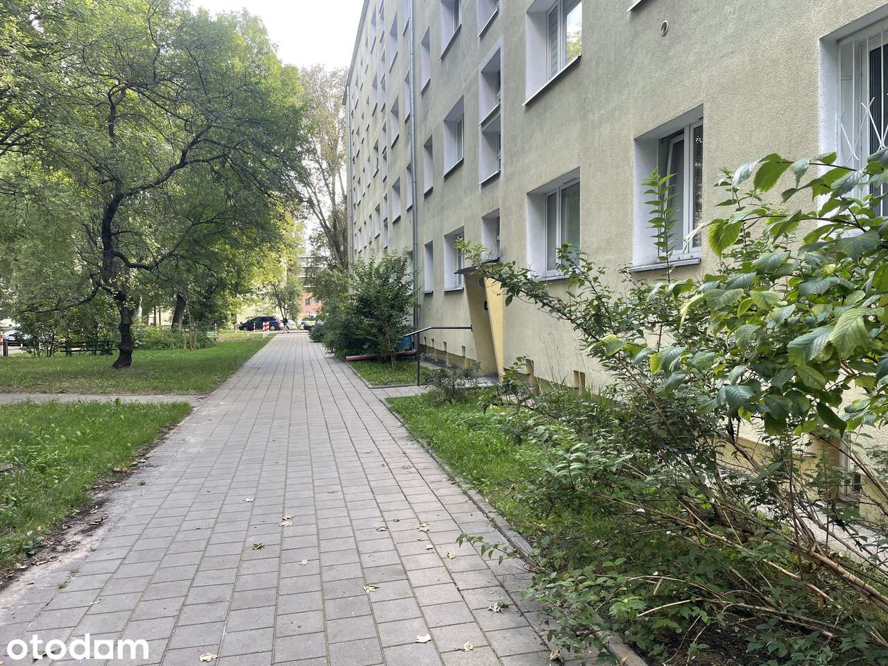 Kompaktowe mieszkanie przy centrum Tulipan , ul Konstytucyjna