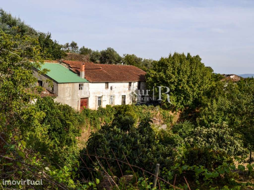 Quinta de 57ha com várias construções na zona da Covilhã - Grande imagem: 2/44