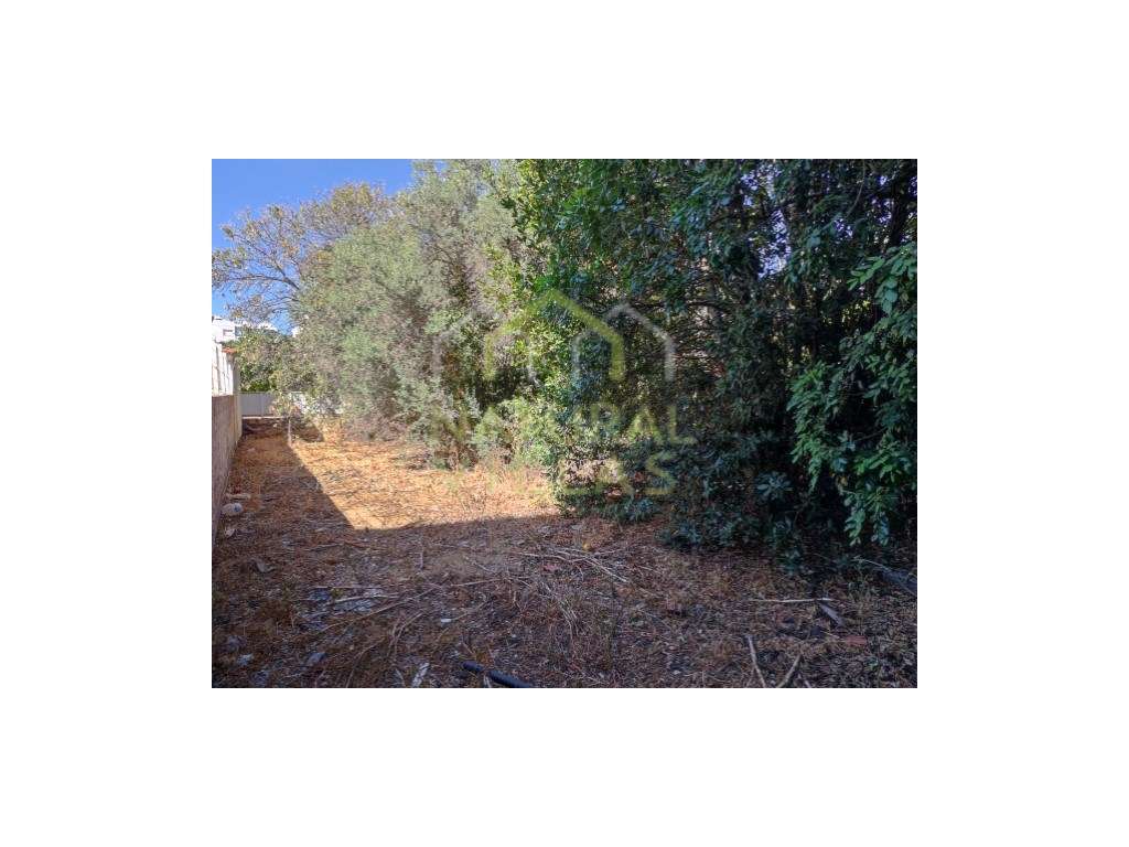 Lote com Projeto para Edifício Multifamiliar em Loulé - Grande imagem: 4/9