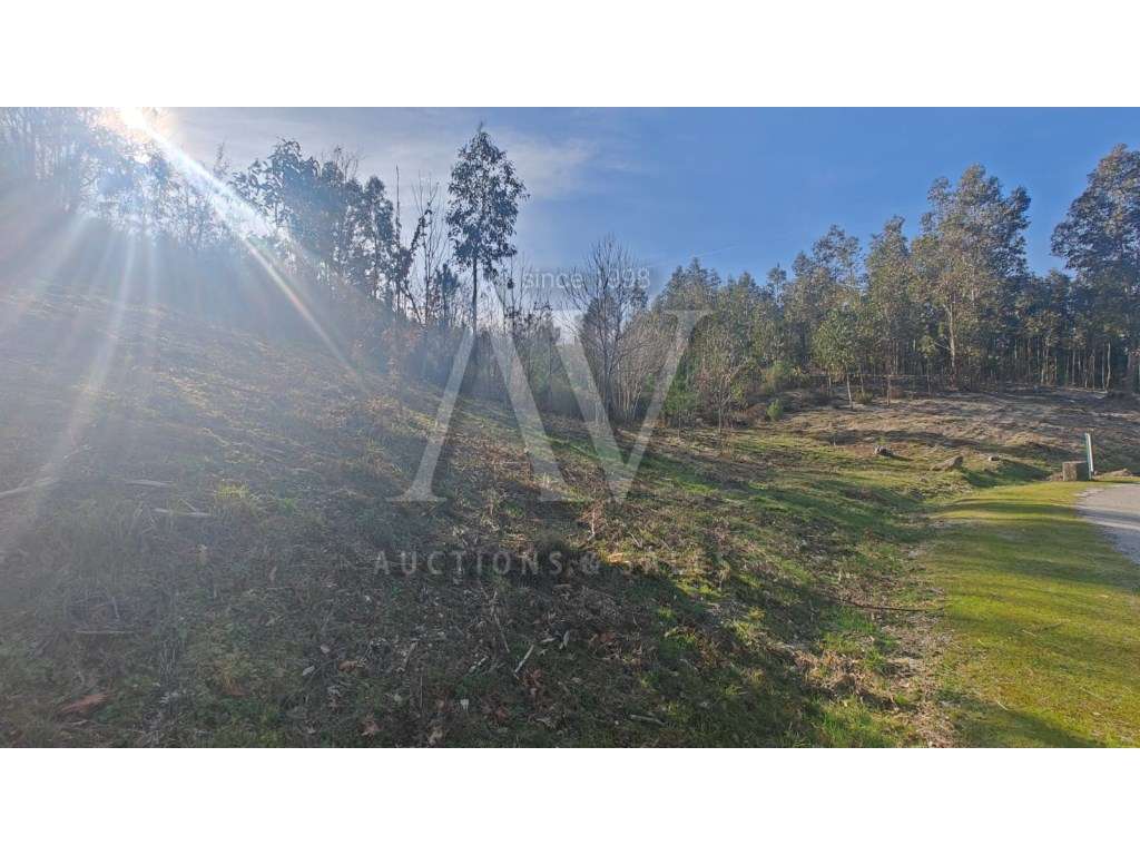 Terreno rústico - MANGUALDE DA SERRA - GOUVEIA | LEILÃO ELETRONICO ... - Grande imagem: 5/9