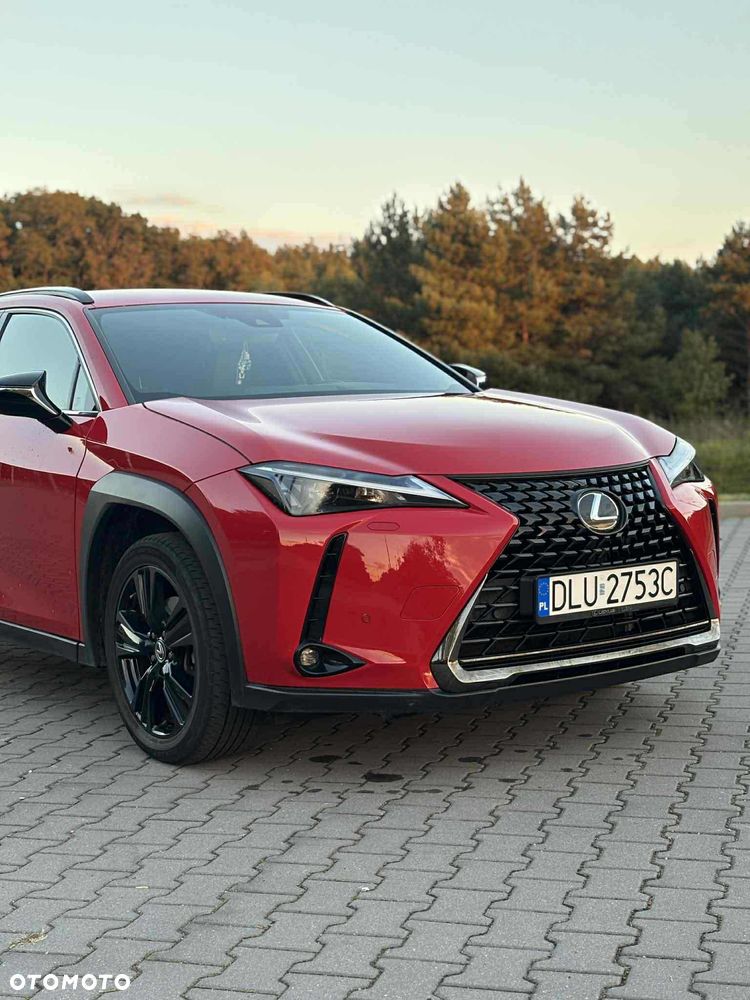 Lexus UX - 6