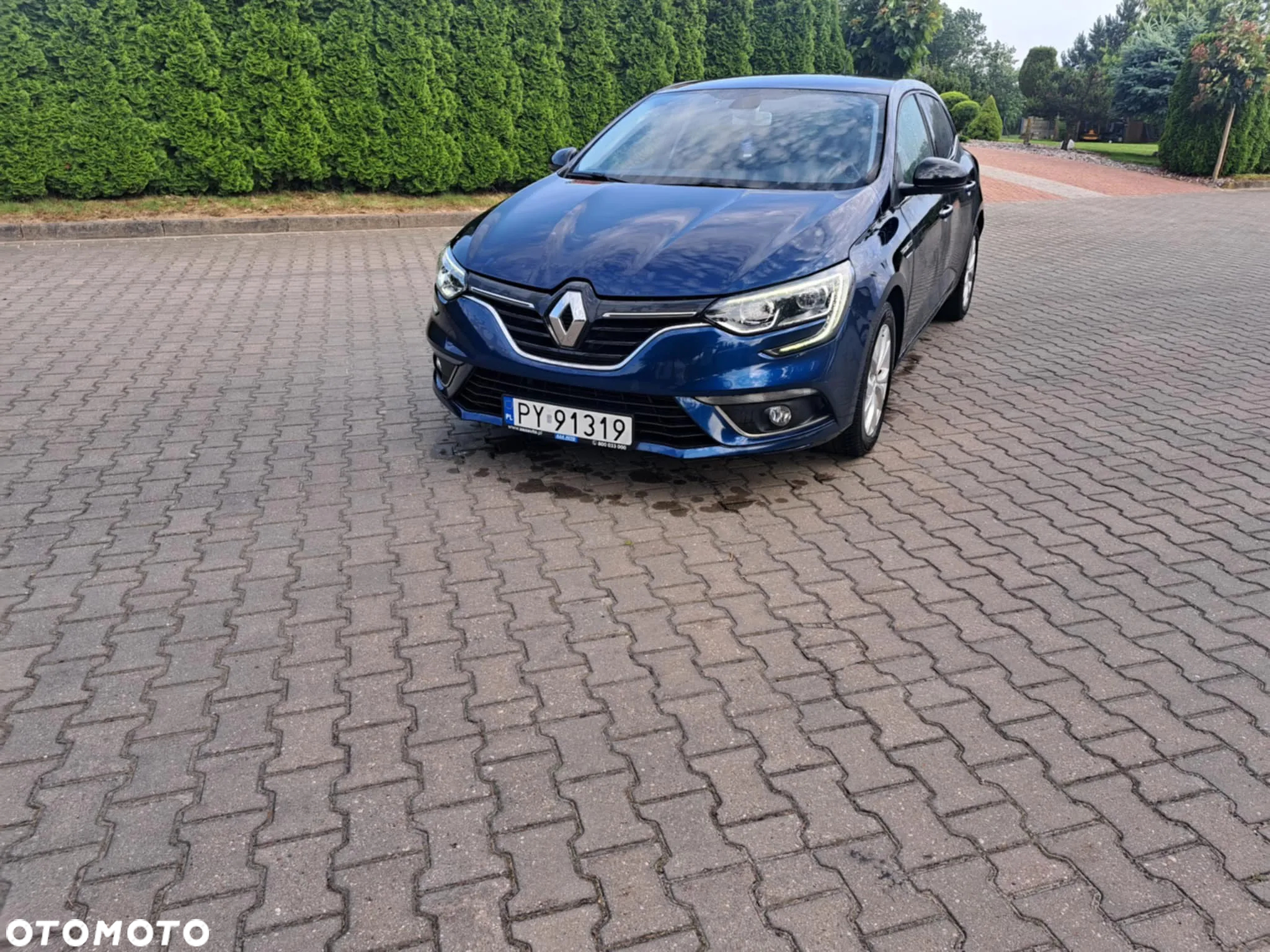 Renault Megane 1.2 Energy TCe Limited - 2