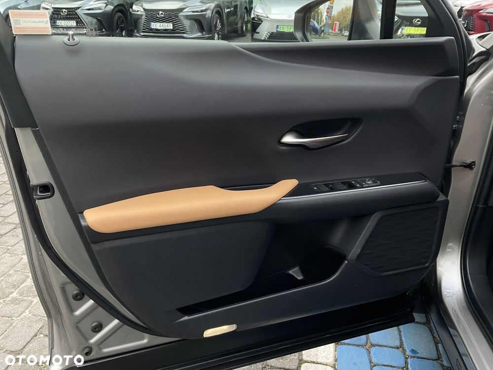 Lexus UX 300h F Sport Design AWD - 17