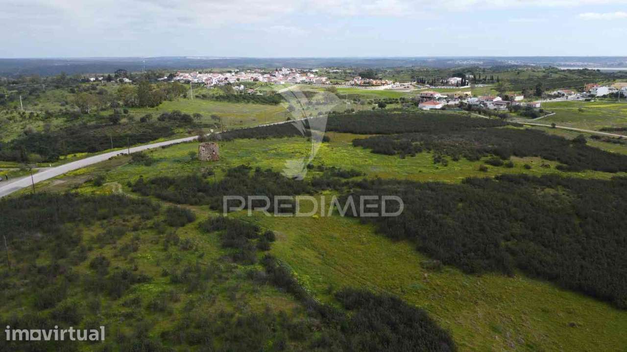 Terreno rústico com 7,3ha no Azinhal, pode construir 300m2 - Grande imagem: 4/33