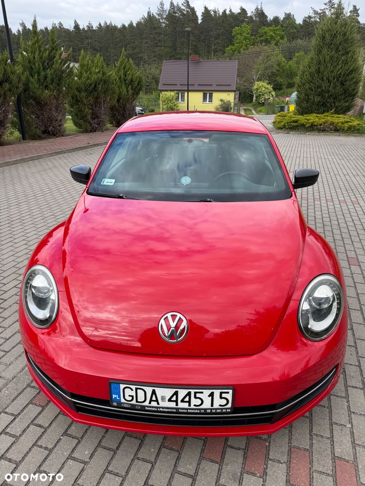 Volkswagen Beetle - 5
